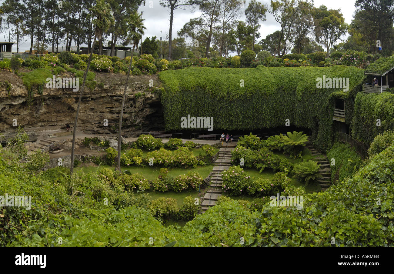 vegetation in Sinkhole Garden in Mt Gambier in South Australia Australia Stock Photo