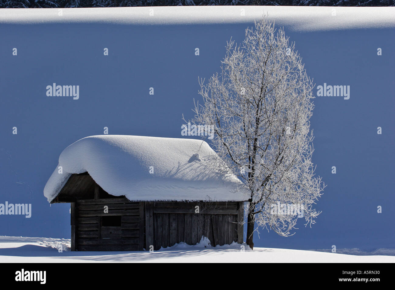 Log Cabins Deeply Covered With Snow Near Krungl Styria Austria