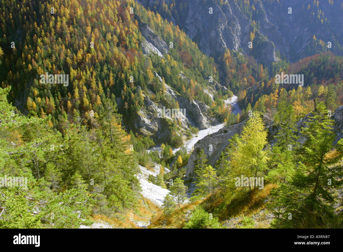 the valley of the Endriegel stream in the Hochschwab massiv Styria Austria Stock Photo