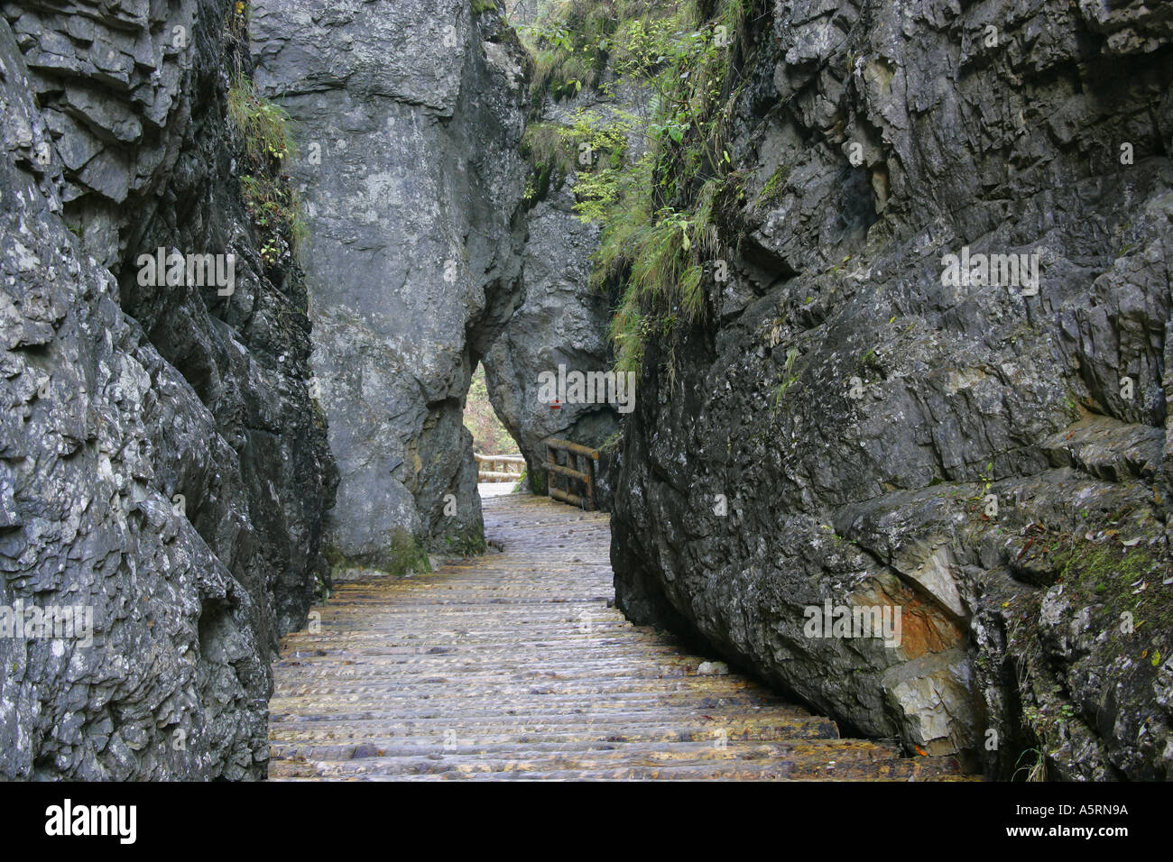 path through the Fölz ravine Styria Austria Stock Photo