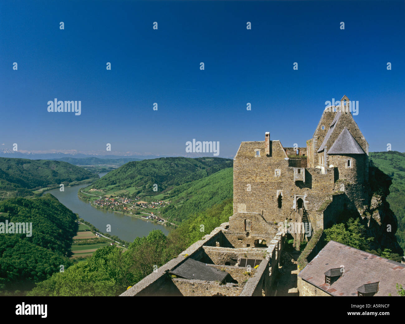 castle ruin Aggstein and the river Danube Wachau Lower Austria Stock Photo