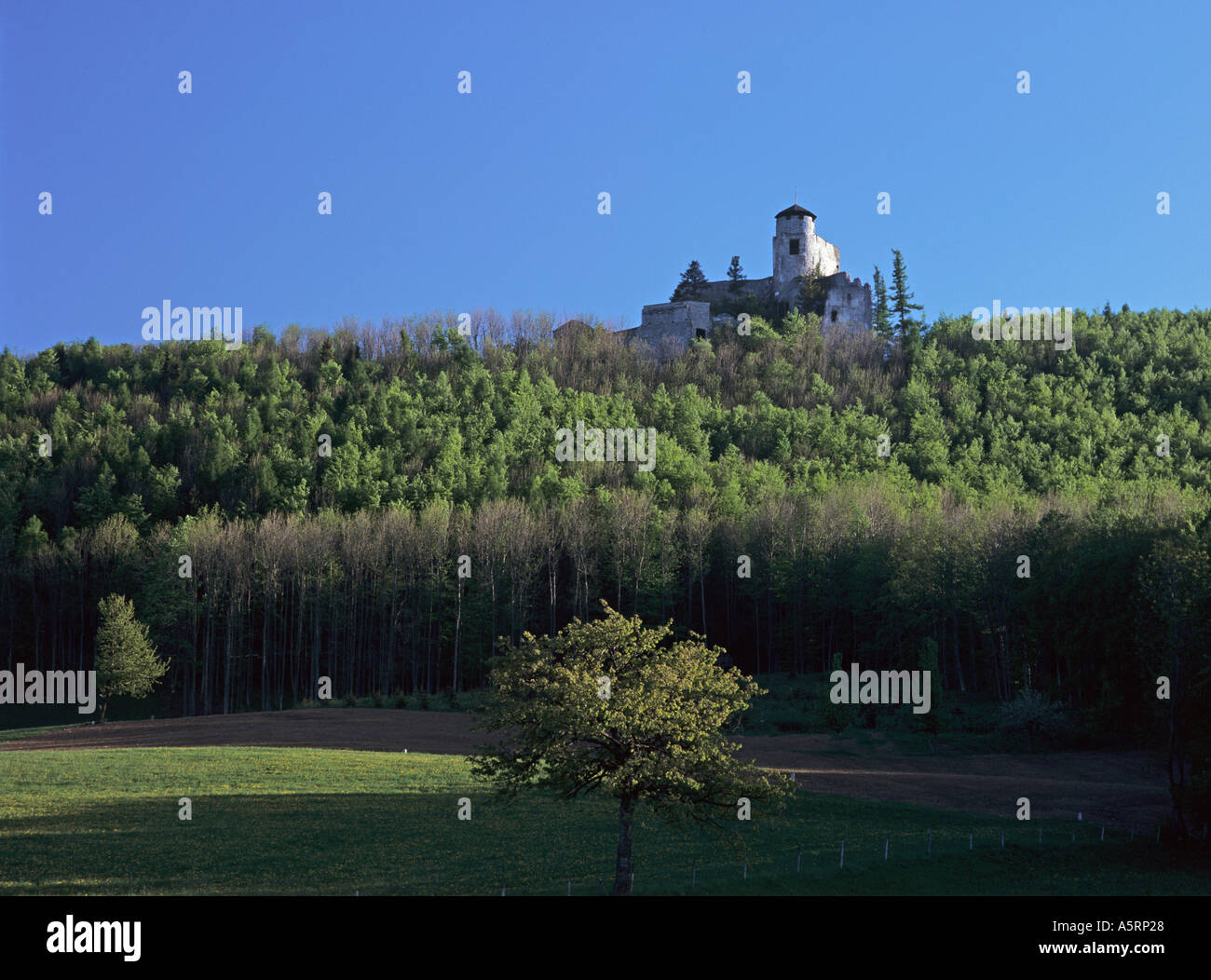 castle ruin Araburg Lower Austria Stock Photo