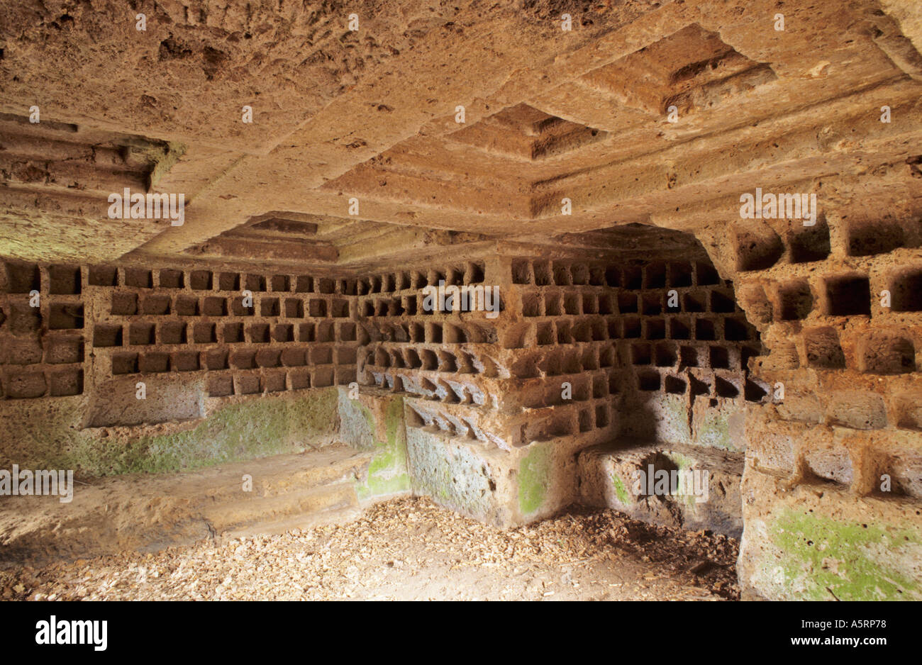 Etruscan Tomb For Urns Called Columbarium Near Sovana Tuscany Italy etruscan-tomb-for-urns-called-columbarium-near-sovana-tuscany-italy
