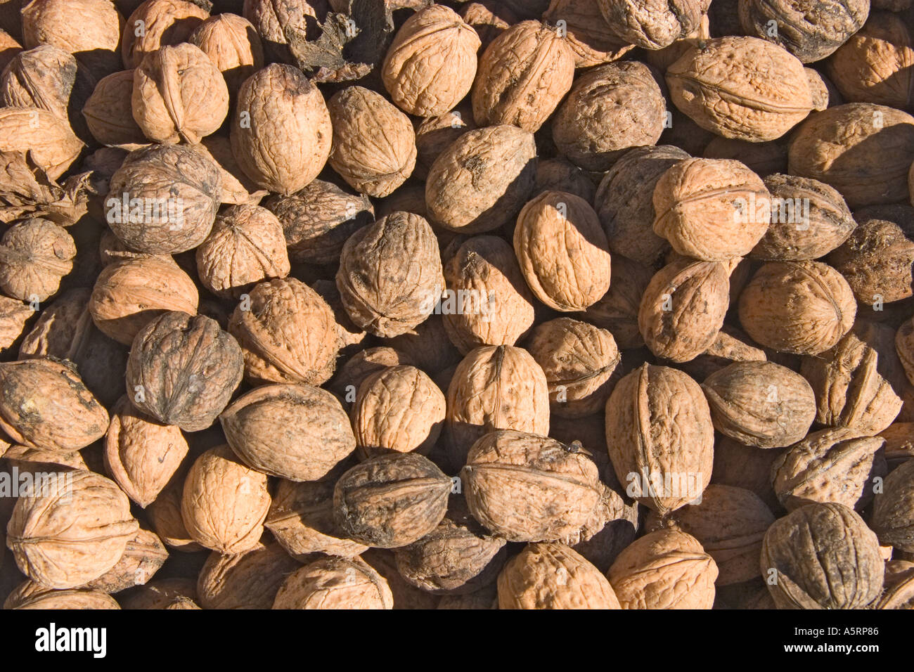 Shell of fruit hi-res stock photography and images - Alamy