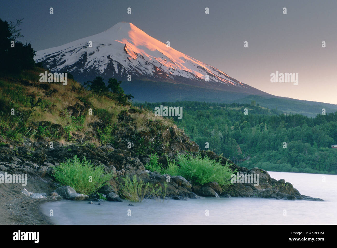 Volcan Villarrica an active volcano in the background Lakes District