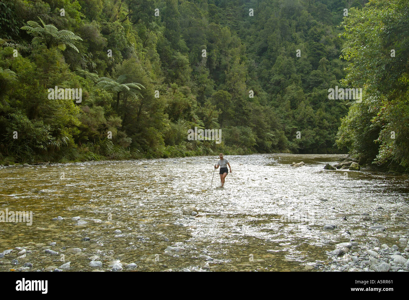 crossing the Fox River in Punakaiki and Paparoa Nationalpark New Zealand Stock Photo