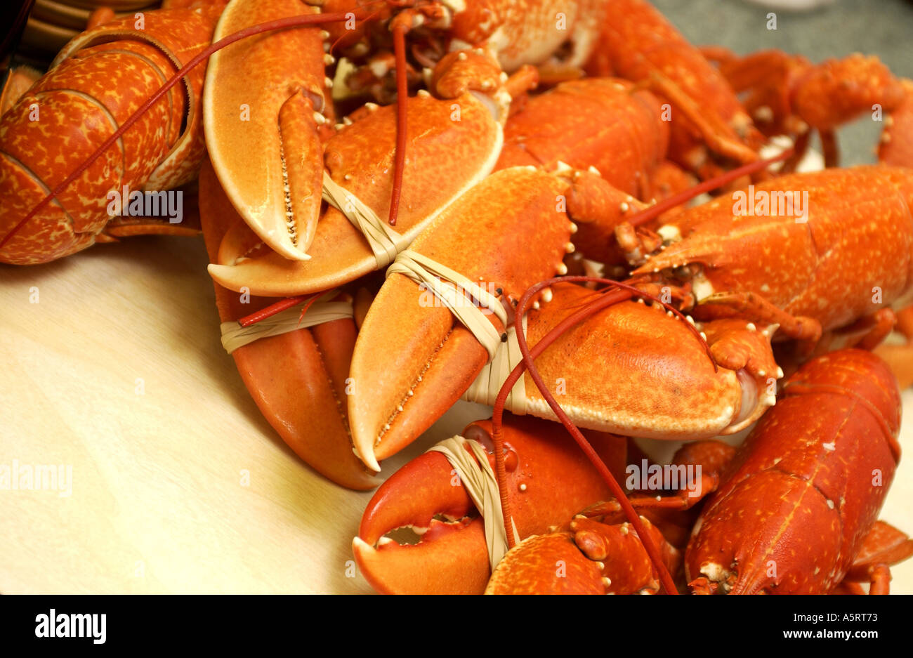 Lobster thermidor hires stock photography and images Alamy