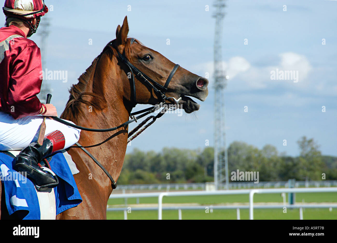 Horse Racing Ride A Horse with its Rider at the Racing Track Stock Photo - Alamy