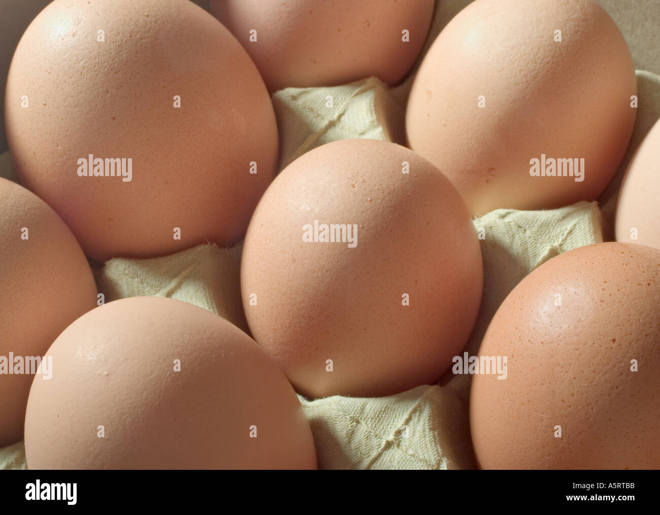 Brown eggs in egg carton Stock Photo