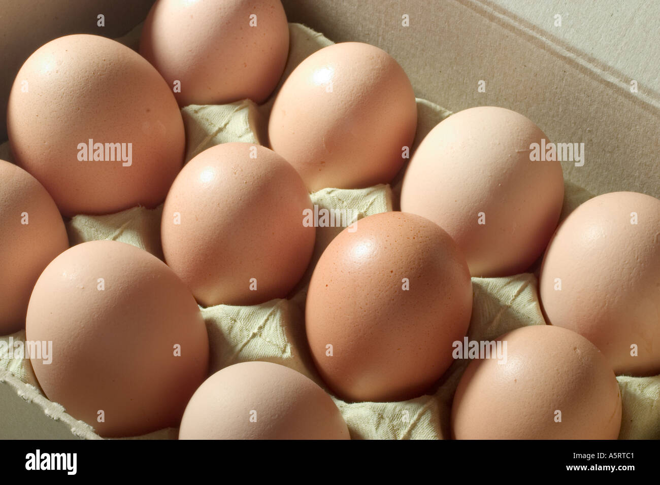 Brown eggs in egg carton Stock Photo