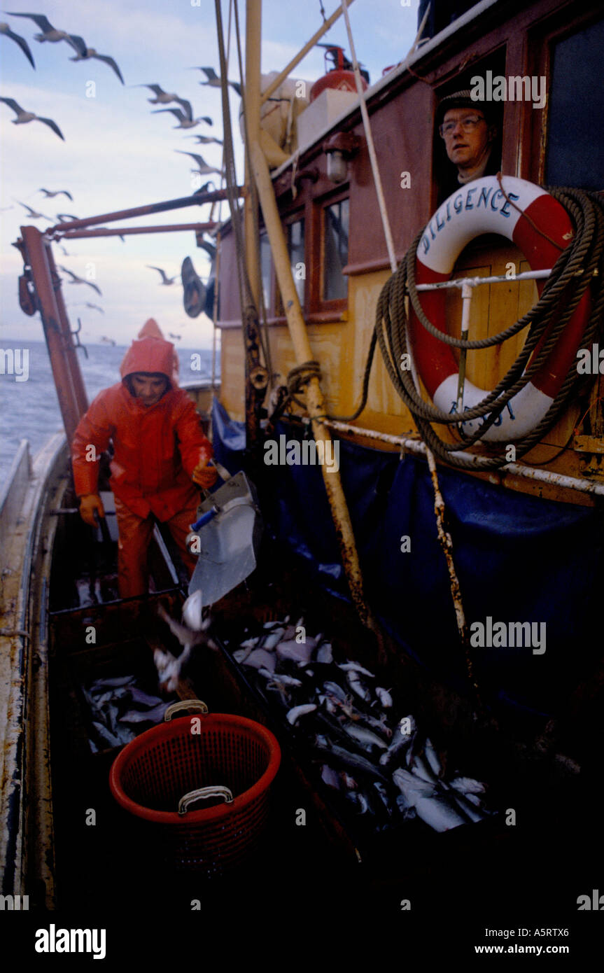 SCOTTISH FISHING VILLAGE FISHERMEN WITH LOADS OF FISHES ON THE TRAWLER