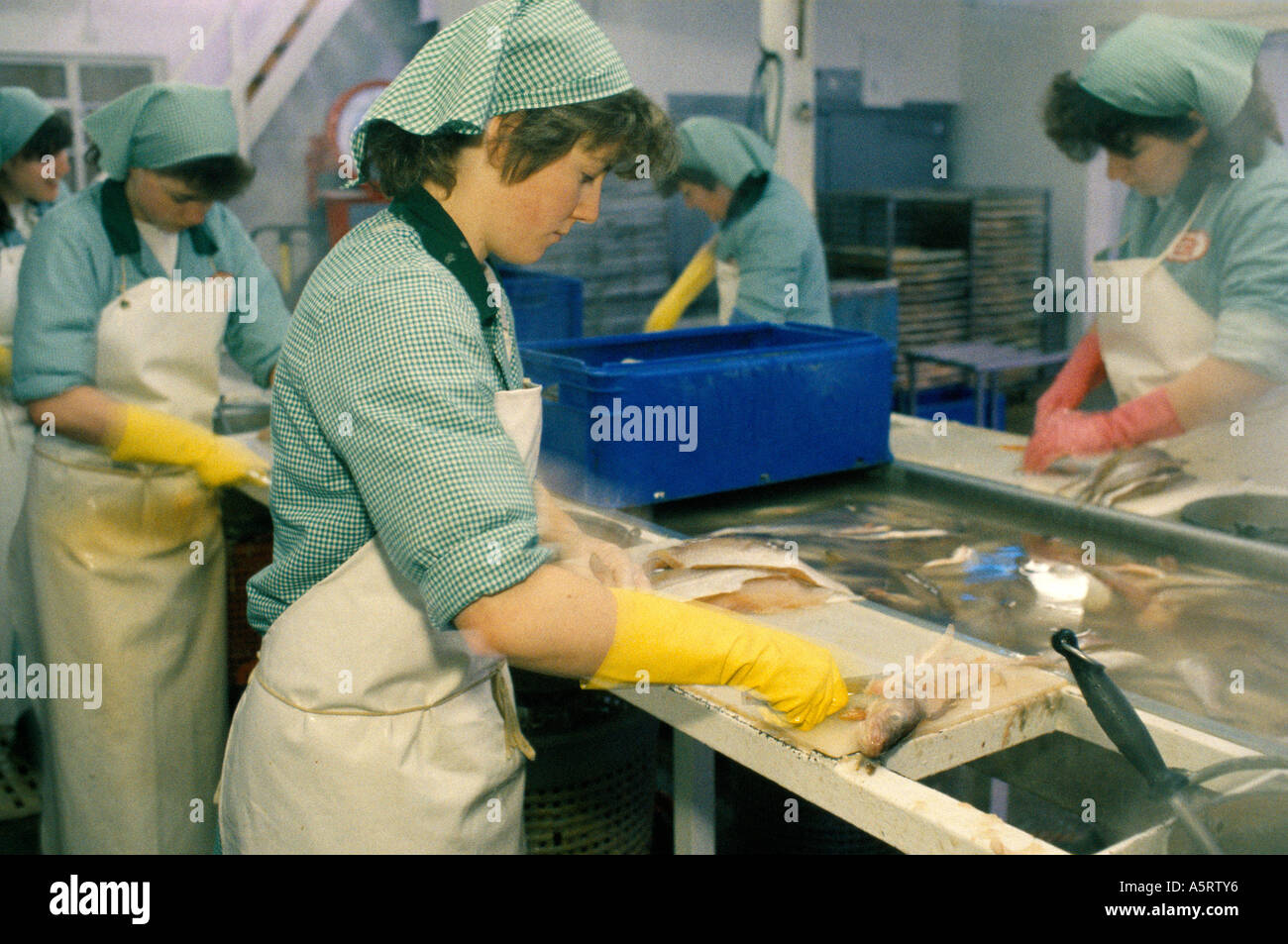 SCOTTISH FISHING VILLAGE FEMALE FISHMONGERS IN OVERHAULS FILLETING FISHES IN A PROCESSING FACTORY IN WHITEHILLS Stock Photo