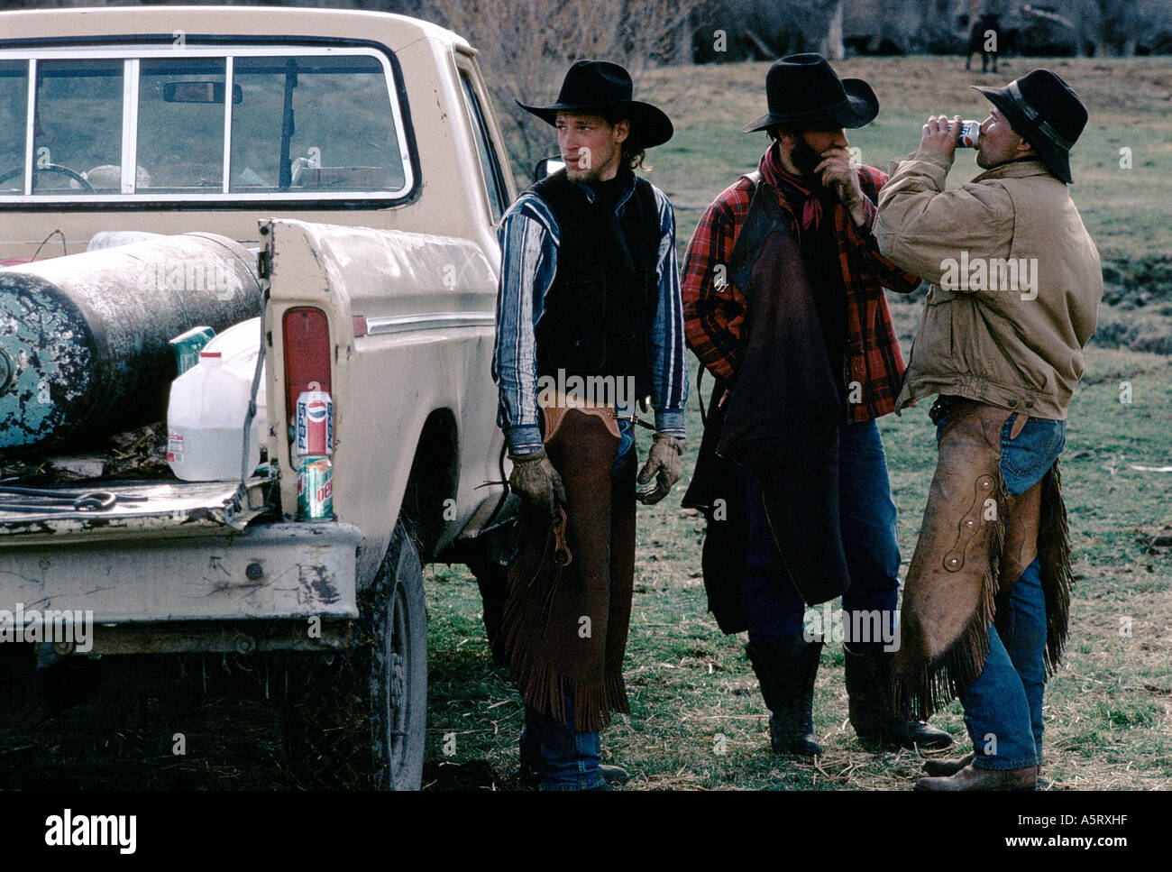 COWBOYS MONTANA USA CATTLE RANCHING THE RANCH HANDS HAVE FINISHED ...