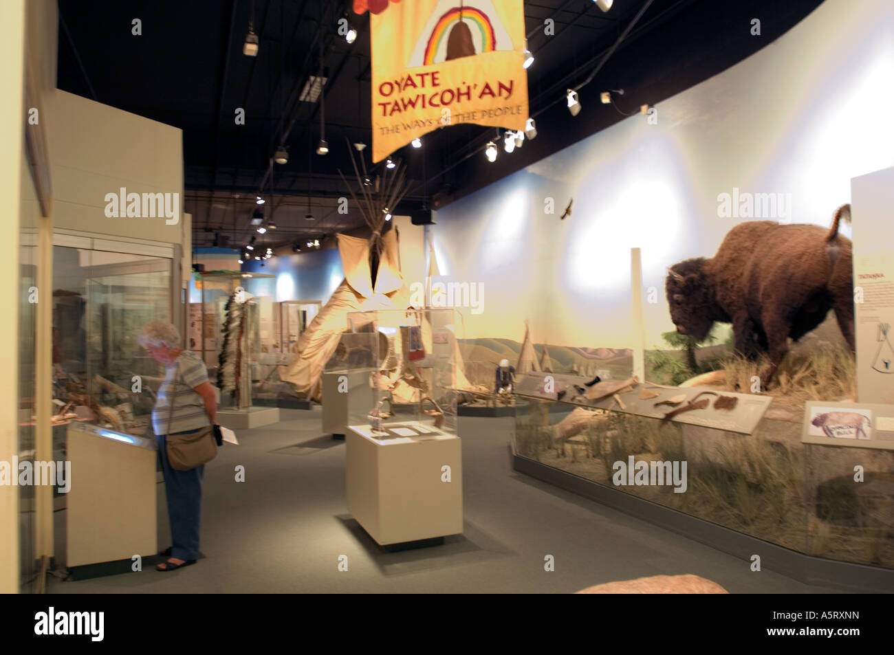 Exhibit in the South Dakota Cultural Center Pierre SD Stock Photo Alamy