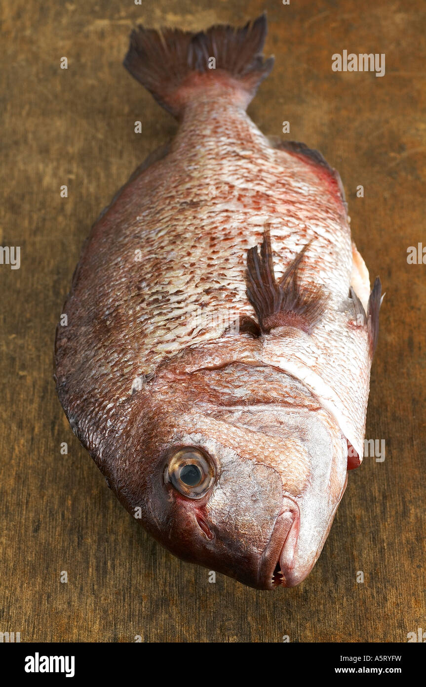 Sea bream on stone Stock Photo - Alamy