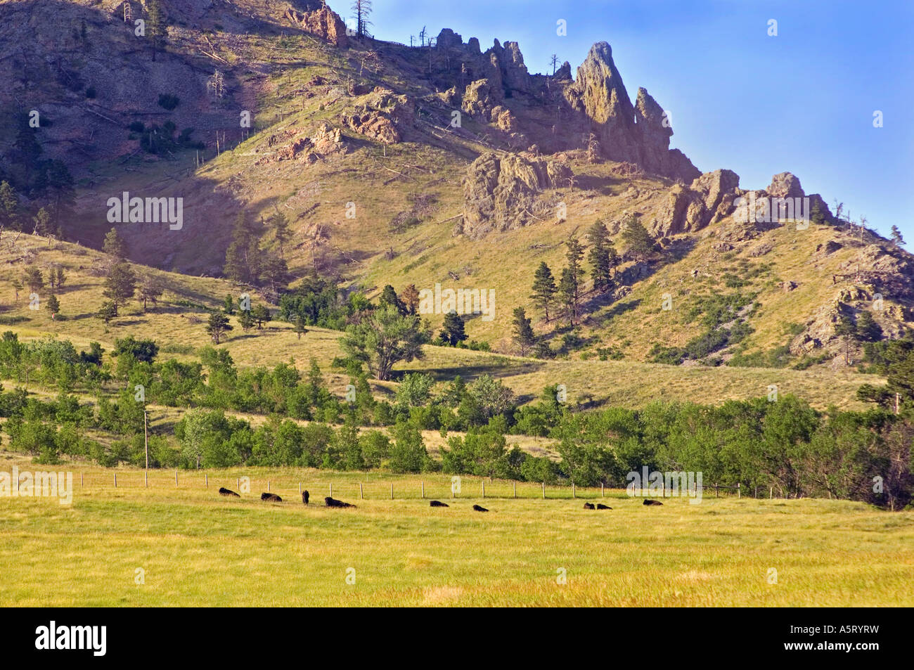 Landscape in Bear Butte State Park near Sturgis SD Stock Photo Alamy