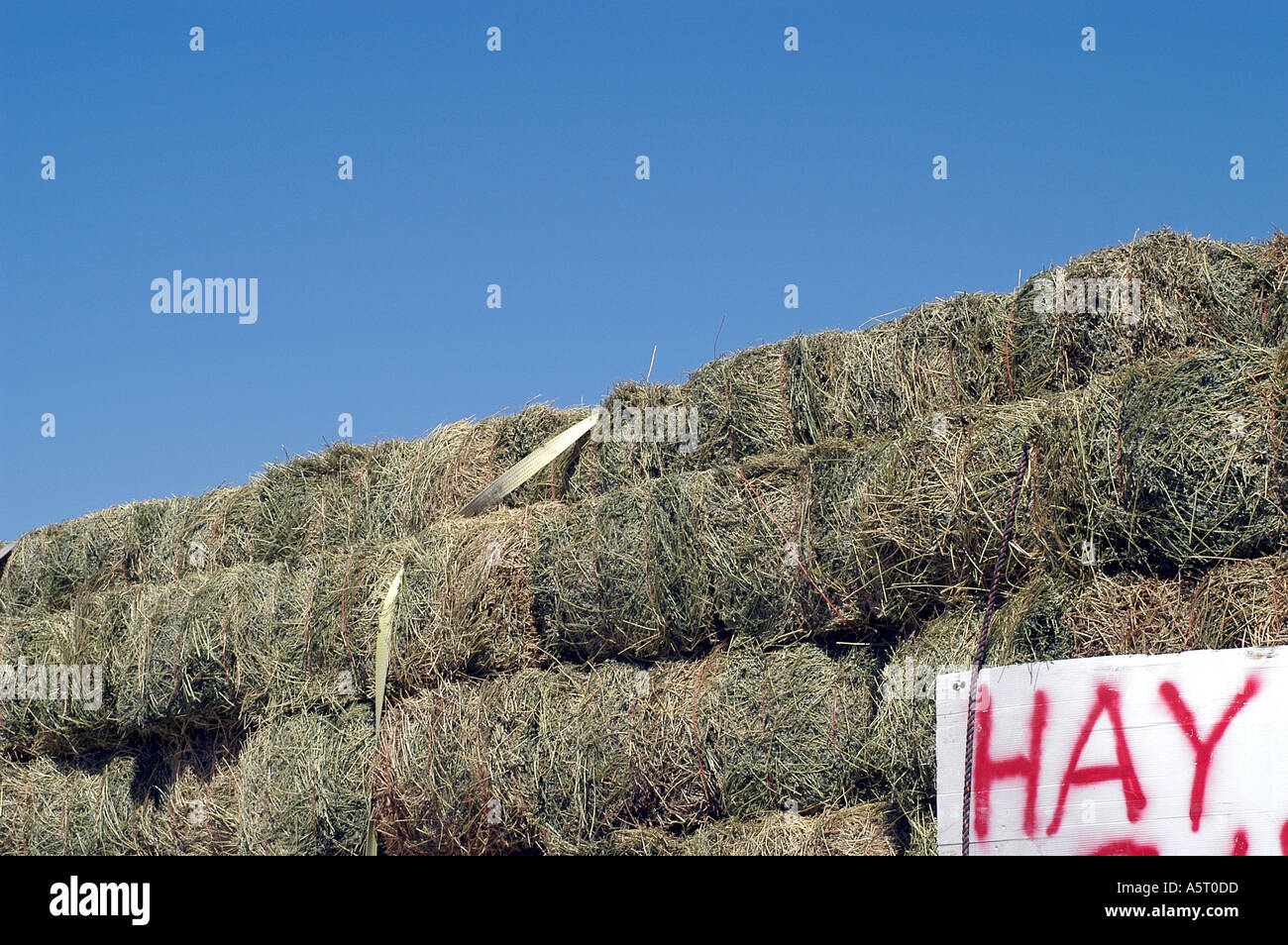Hay bales for sale sign Stock Photo Alamy