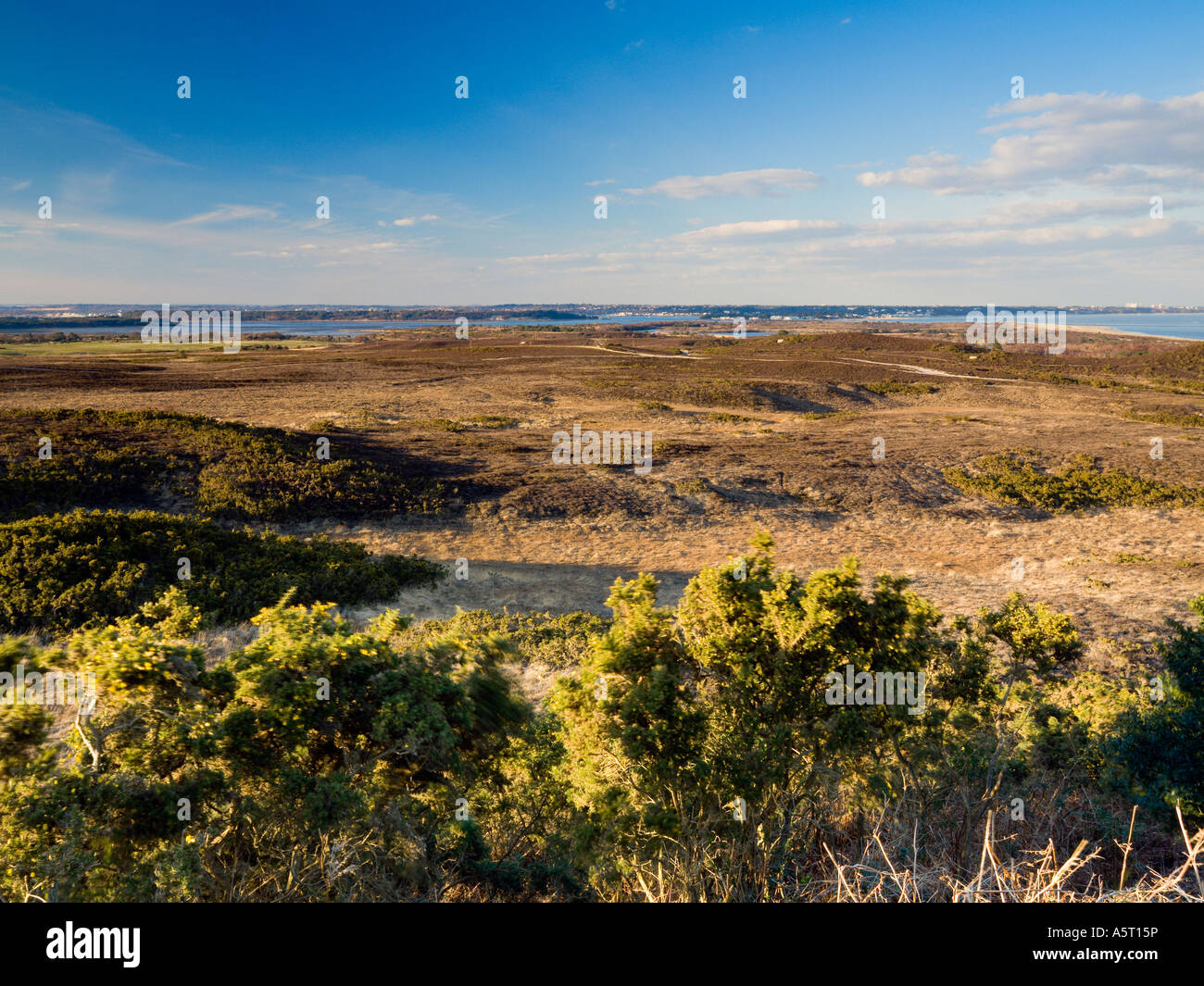 View from Agglestone Rock Studland Purbeck Dorset UK Stock Photo