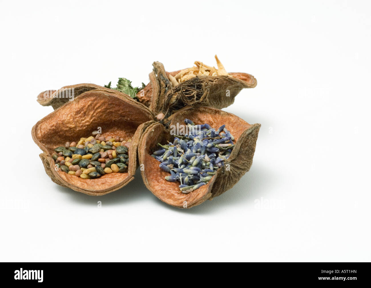 Various views of flower Cut Out Stock Images & Pictures Alamy