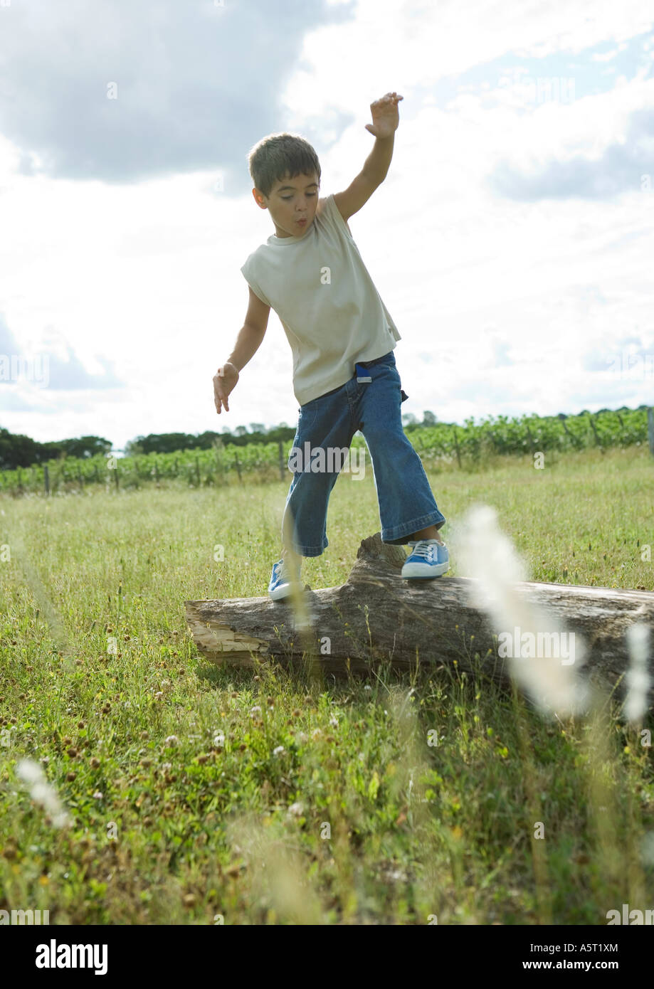 Boy standing on log Stock Photo