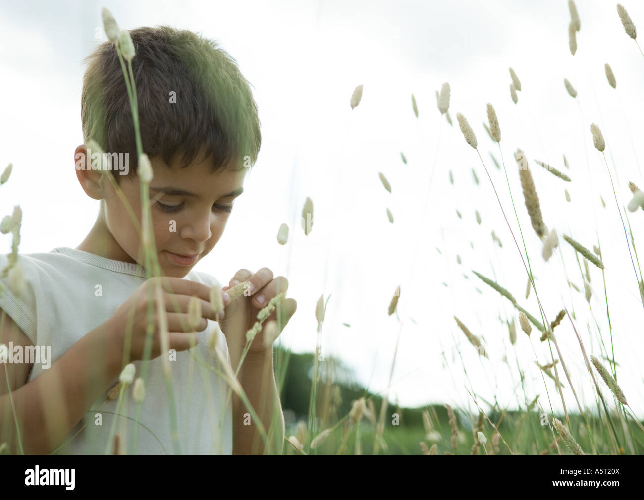 Boy looking at weeds Stock Photo - Alamy
