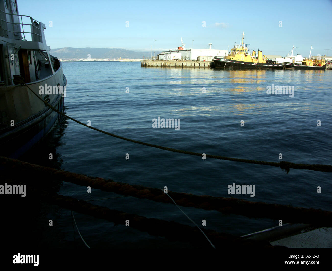Boats and tugs in dock, Gibraltar, Marine Services Support Fleet Adept