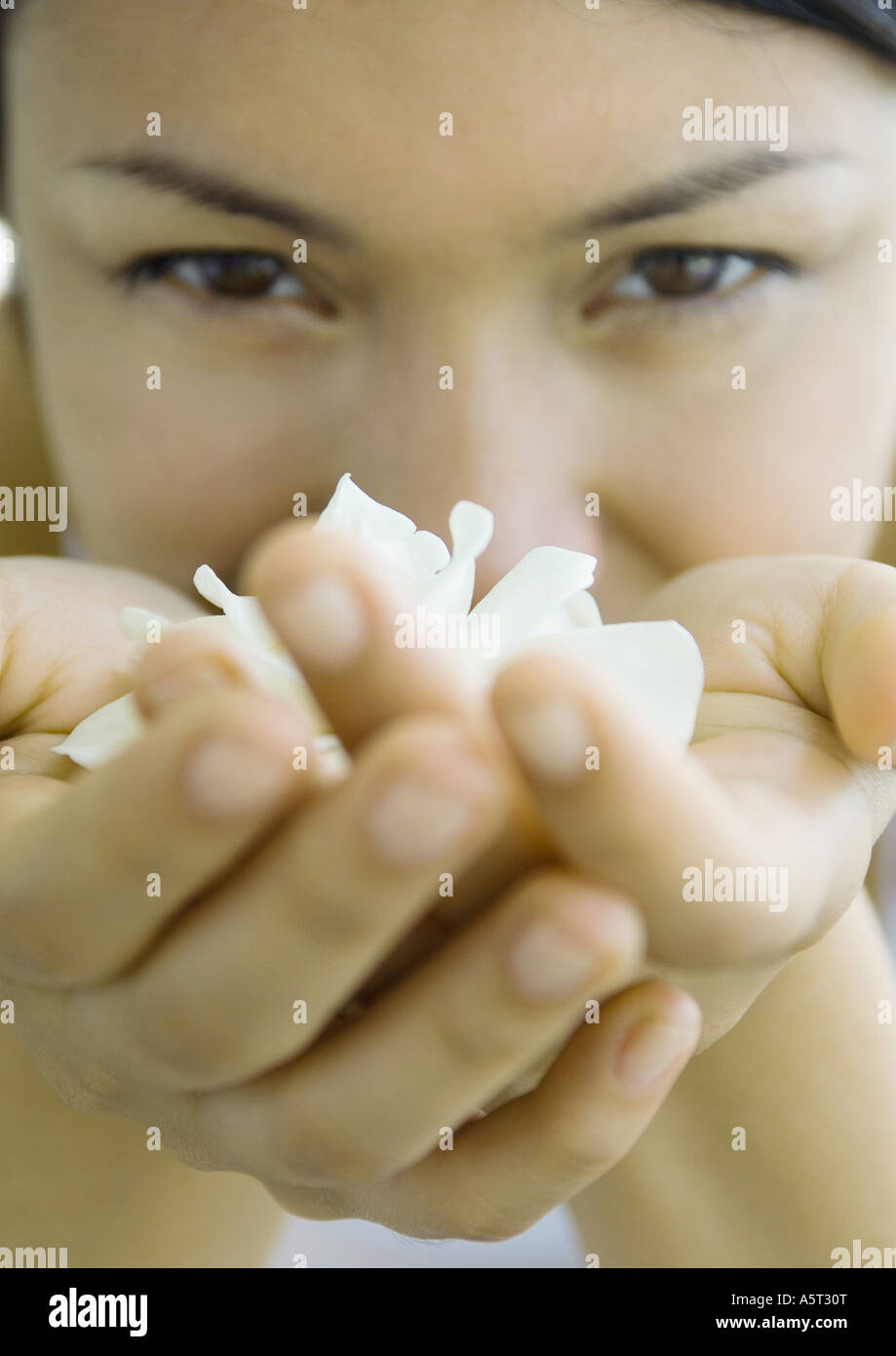 Woman holding gardenia flower in hands, close-up Stock Photo