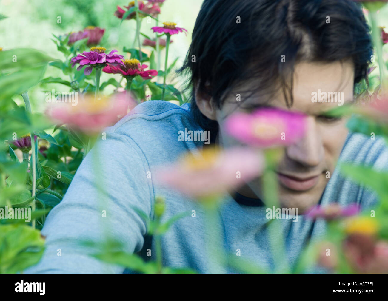 Man sitting in flowers Stock Photo