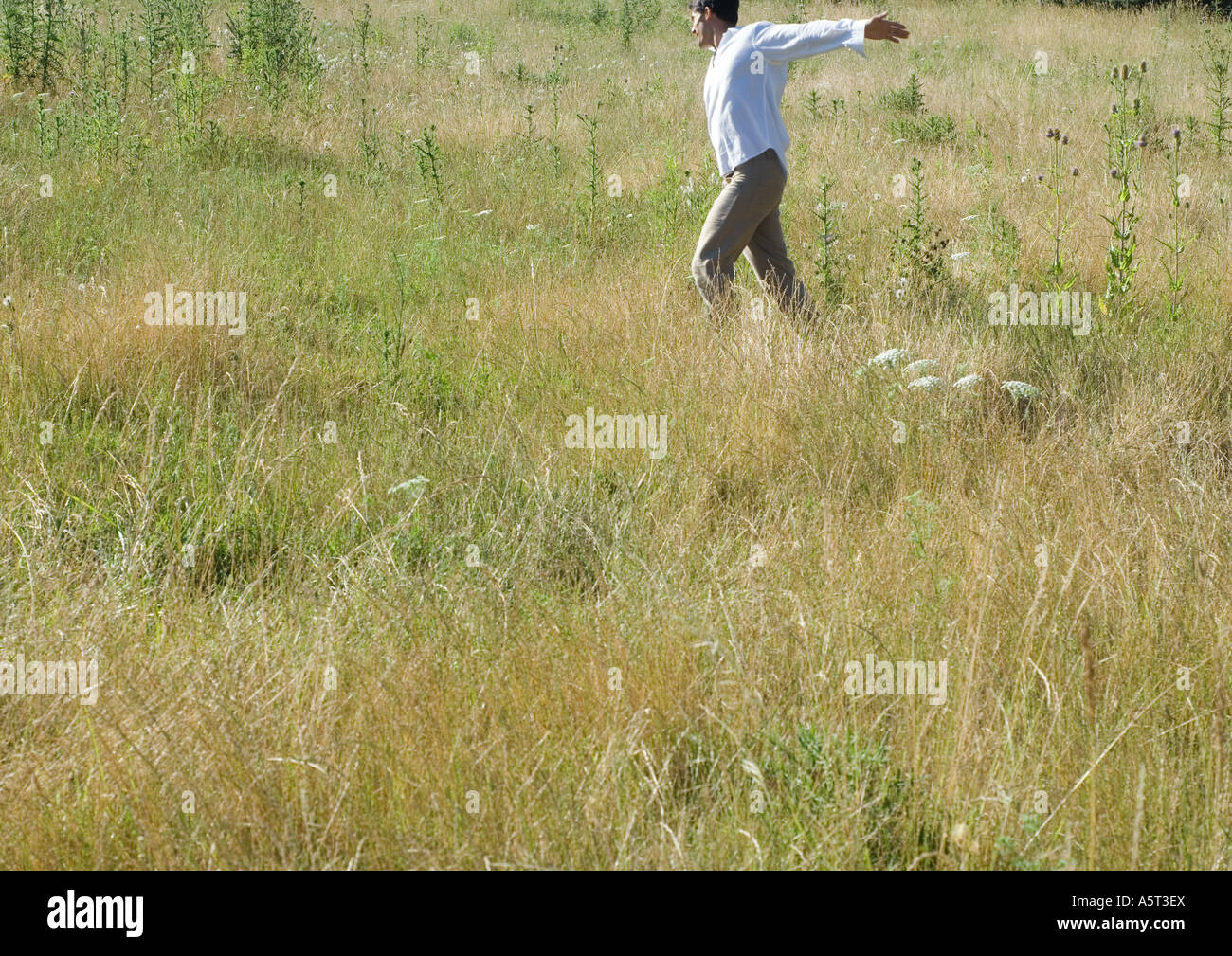 Man walking in field Stock Photo