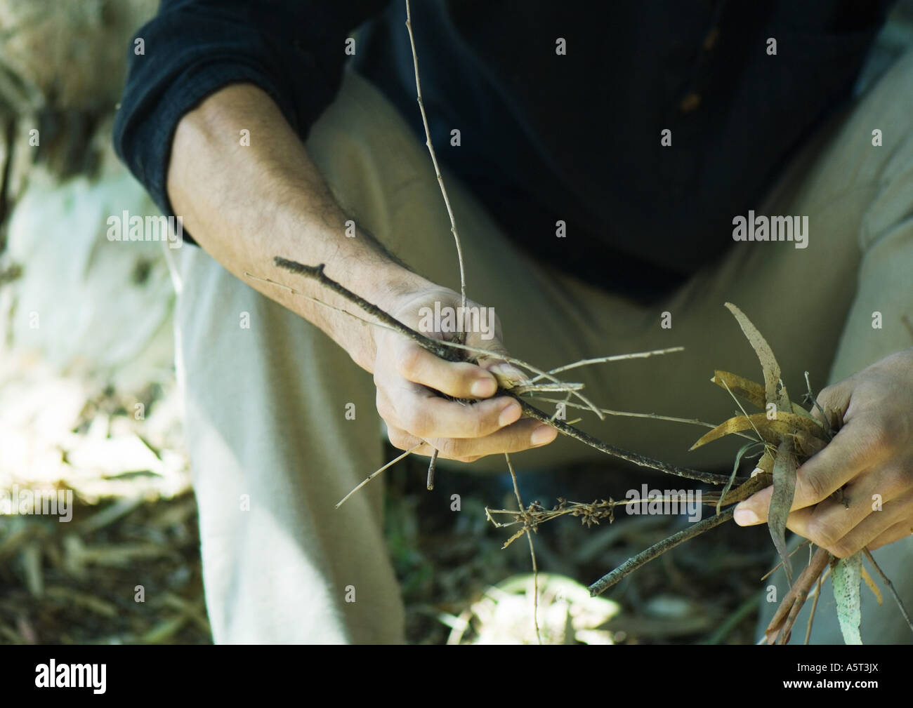Man holding handful of twigs and leaves, cropped view Stock Photo