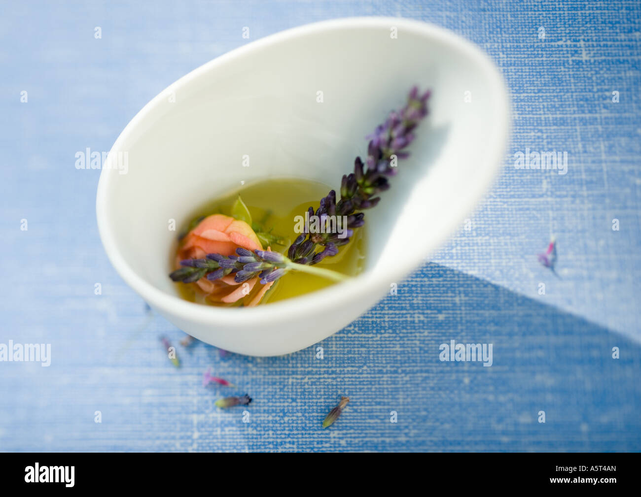 Flowers macerating in oil Stock Photo
