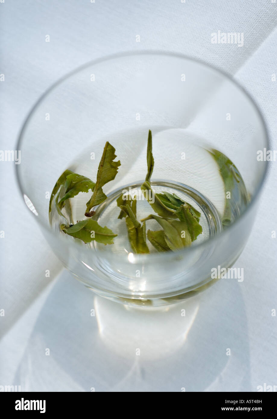 Green tea steeping in cup Stock Photo