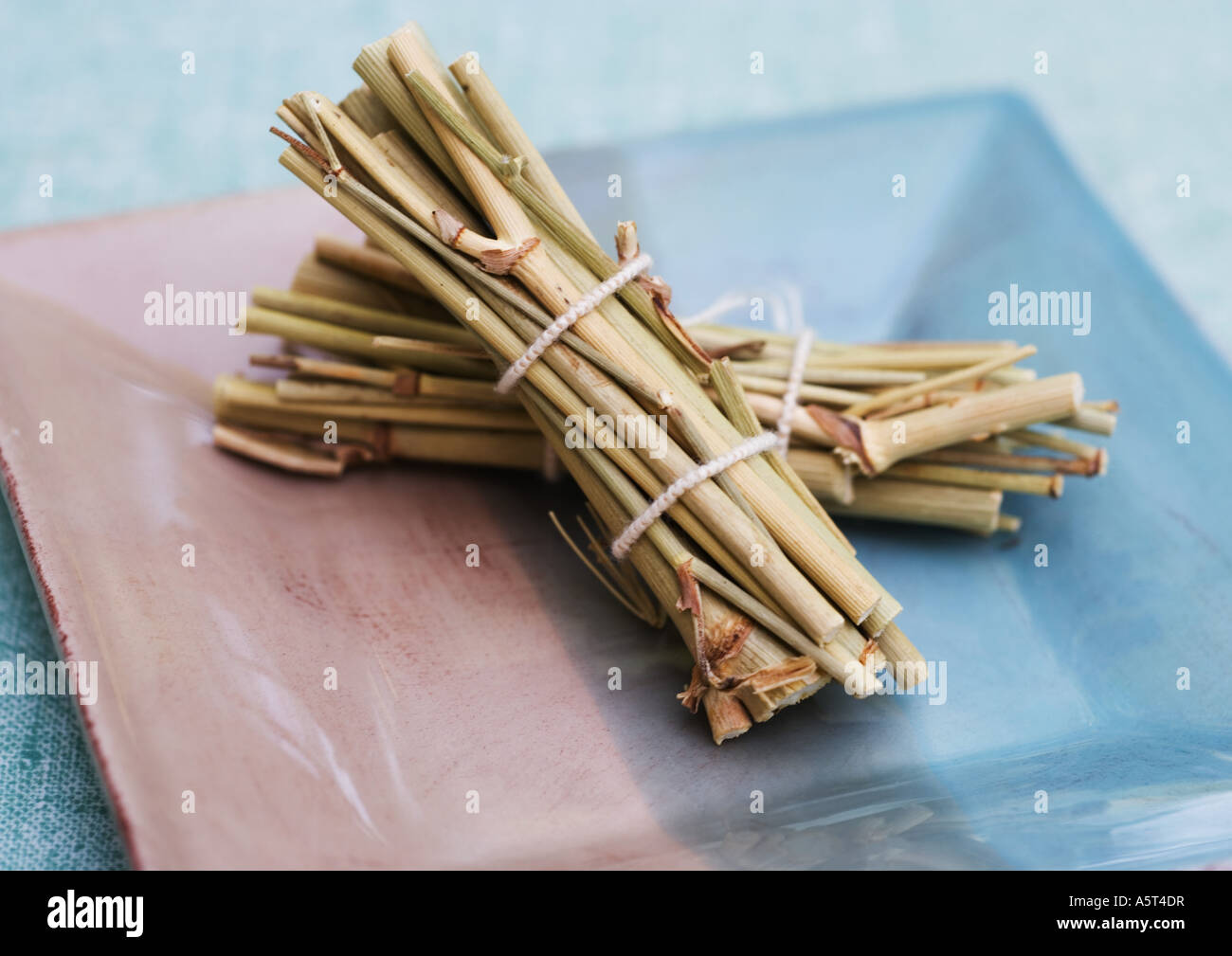 Bundles of dried wild fennel Stock Photo Alamy