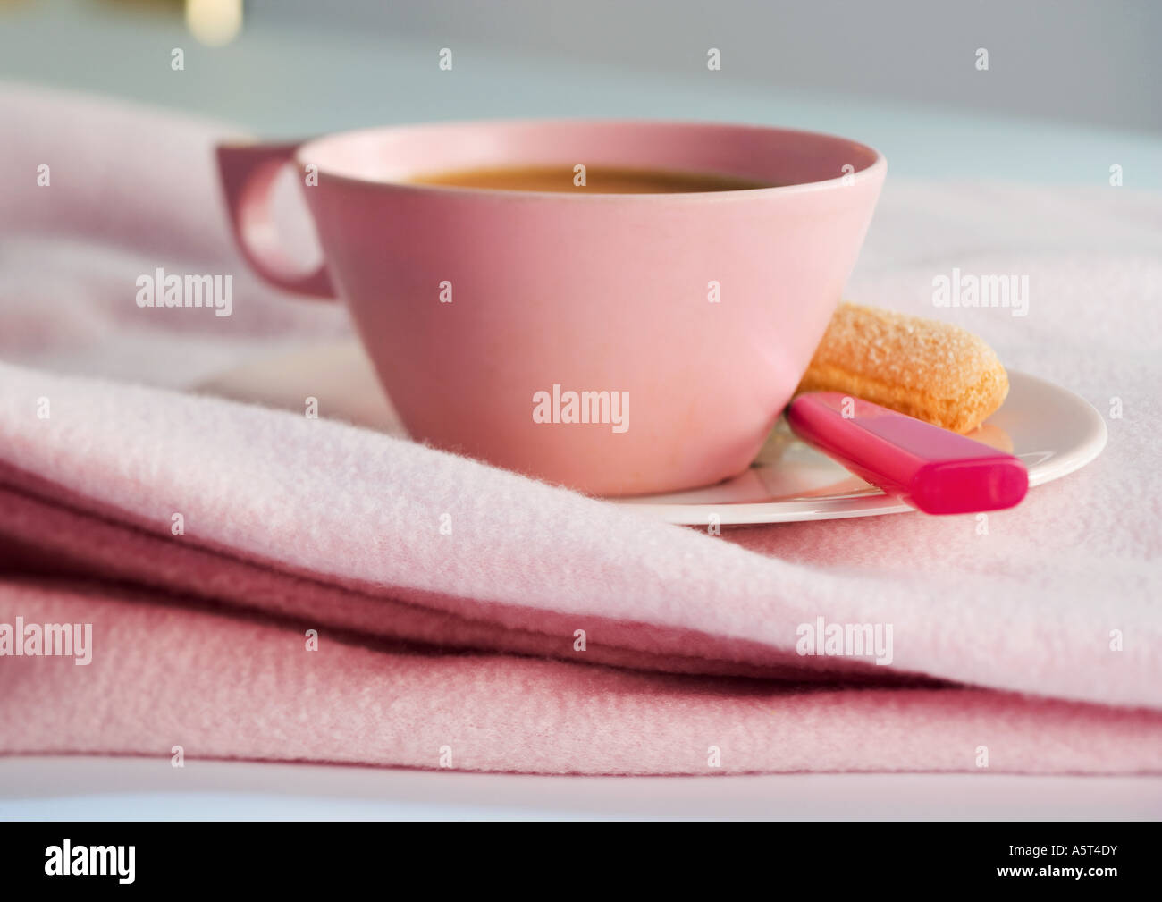 Cup of coffee on saucer with spoon and ladyfinger cookie Stock Photo