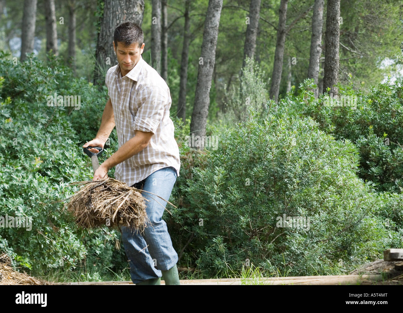 Man doing yard work Stock Photo Alamy