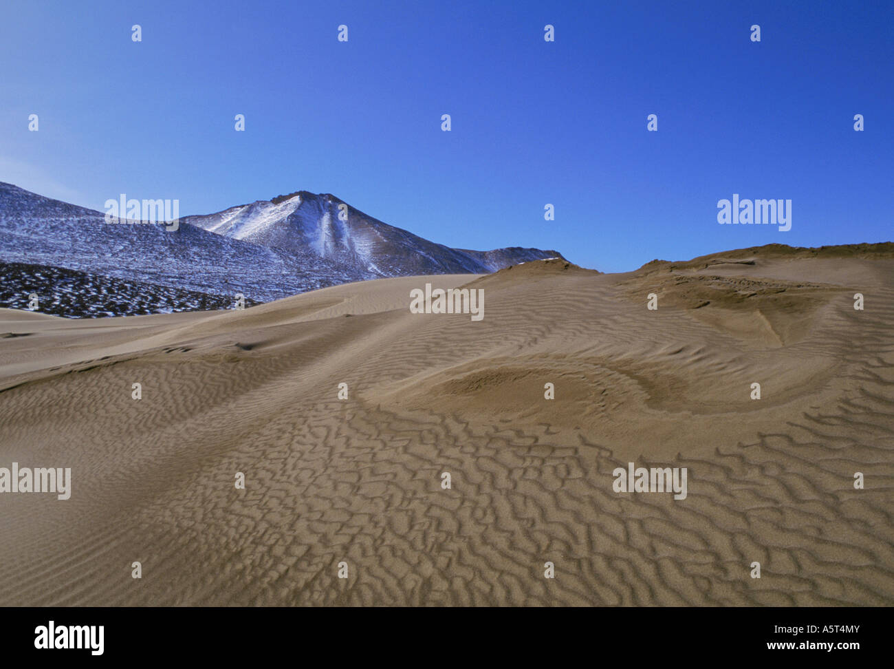 Sand dunes in Victoria Valley Dry Valleys Antarctica Stock Photo