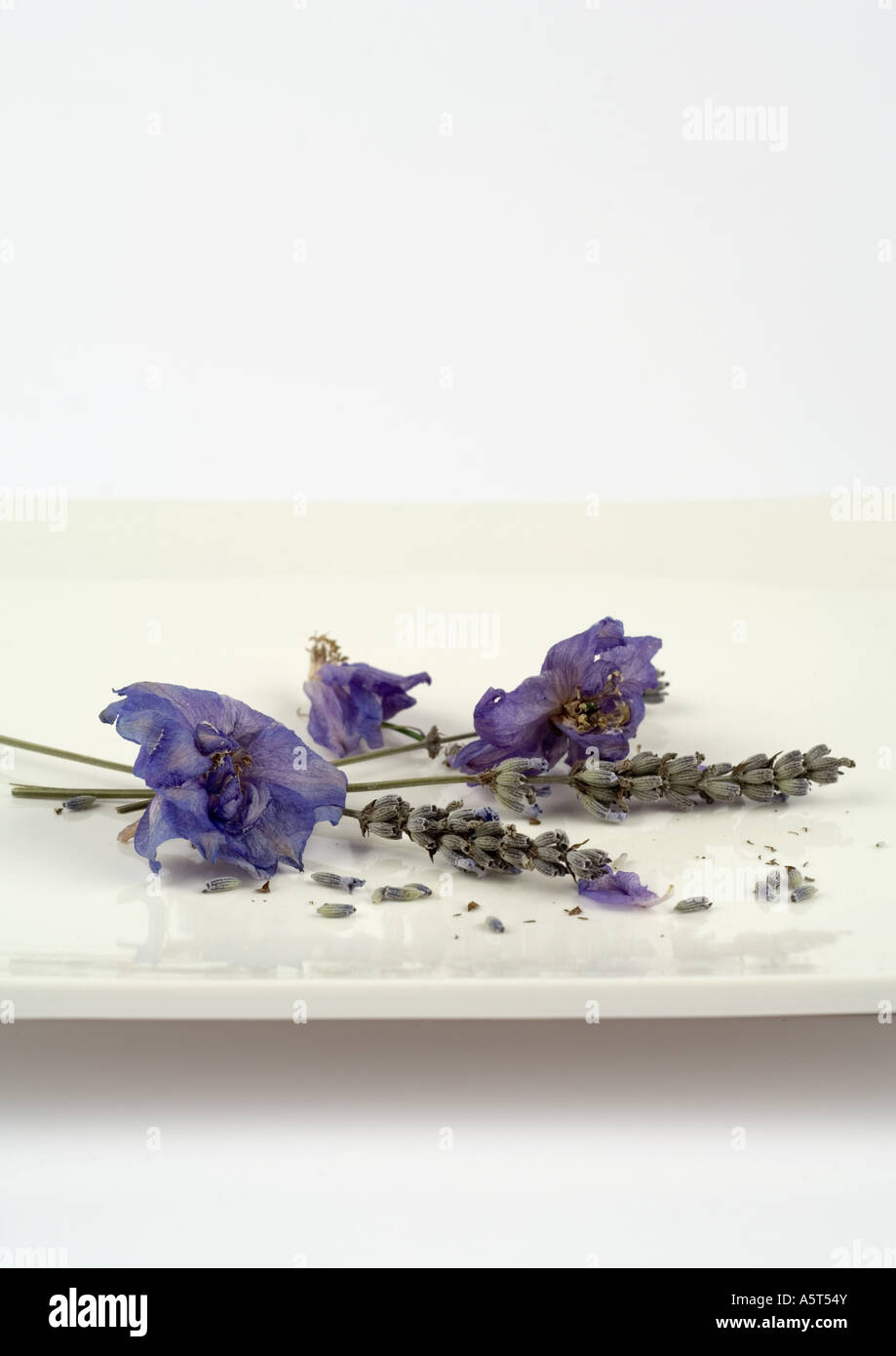 Sprigs of dried lavender and flowers on dish Stock Photo - Alamy