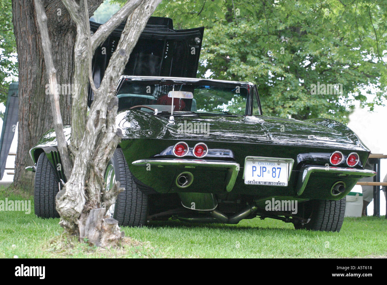 1965 corvette stingray hi-res stock photography and images - Alamy