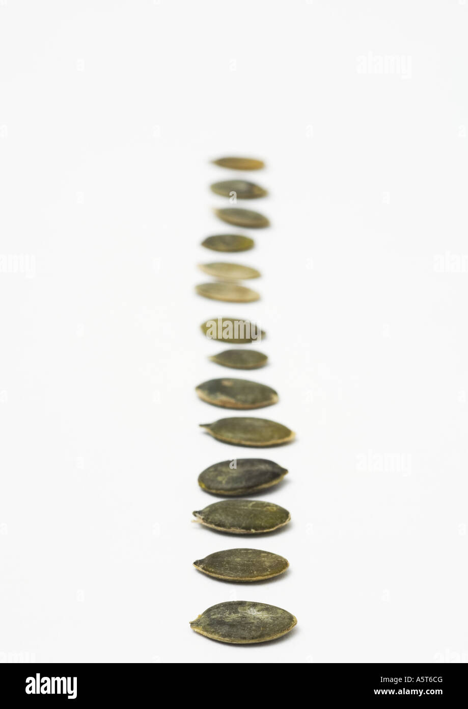 Close up views of seeds hi-res stock photography and images - Alamy