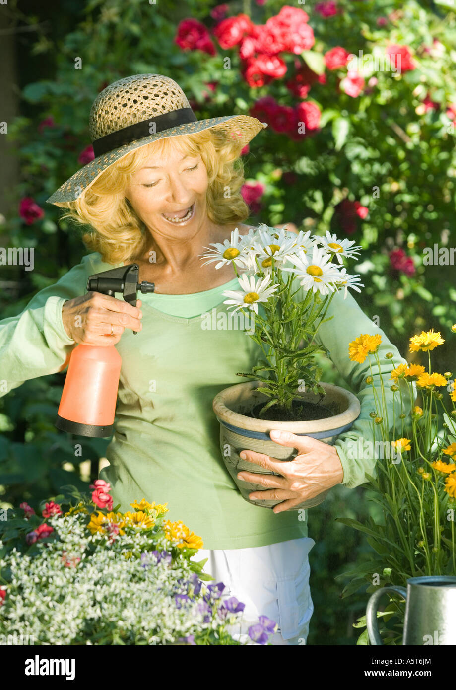 Senior woman holding pot of flowers Stock Photo - Alamy