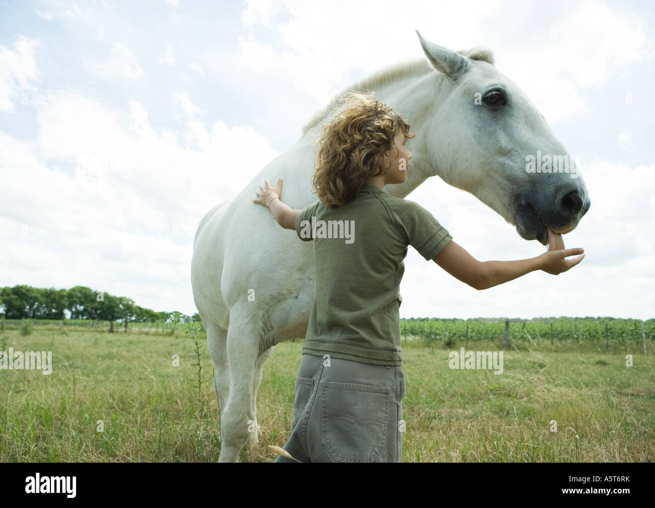 Boy petting horse, horse licking boy's hand Stock Photo Alamy