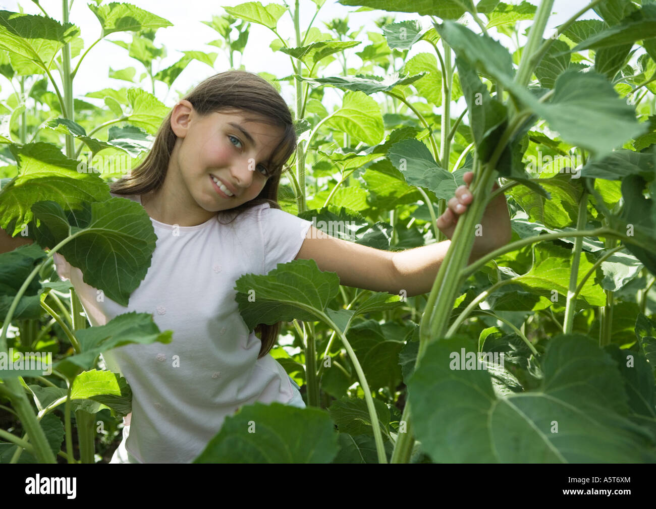 Girl standing in tall plants Stock Photo