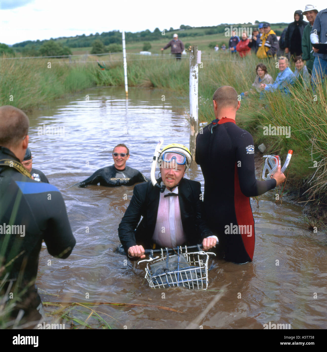 Man in dinner suit emerging from bog at bog snorkelling mountain bike competititon Llanwrtyd Wells Powys Wales UK Stock Photo