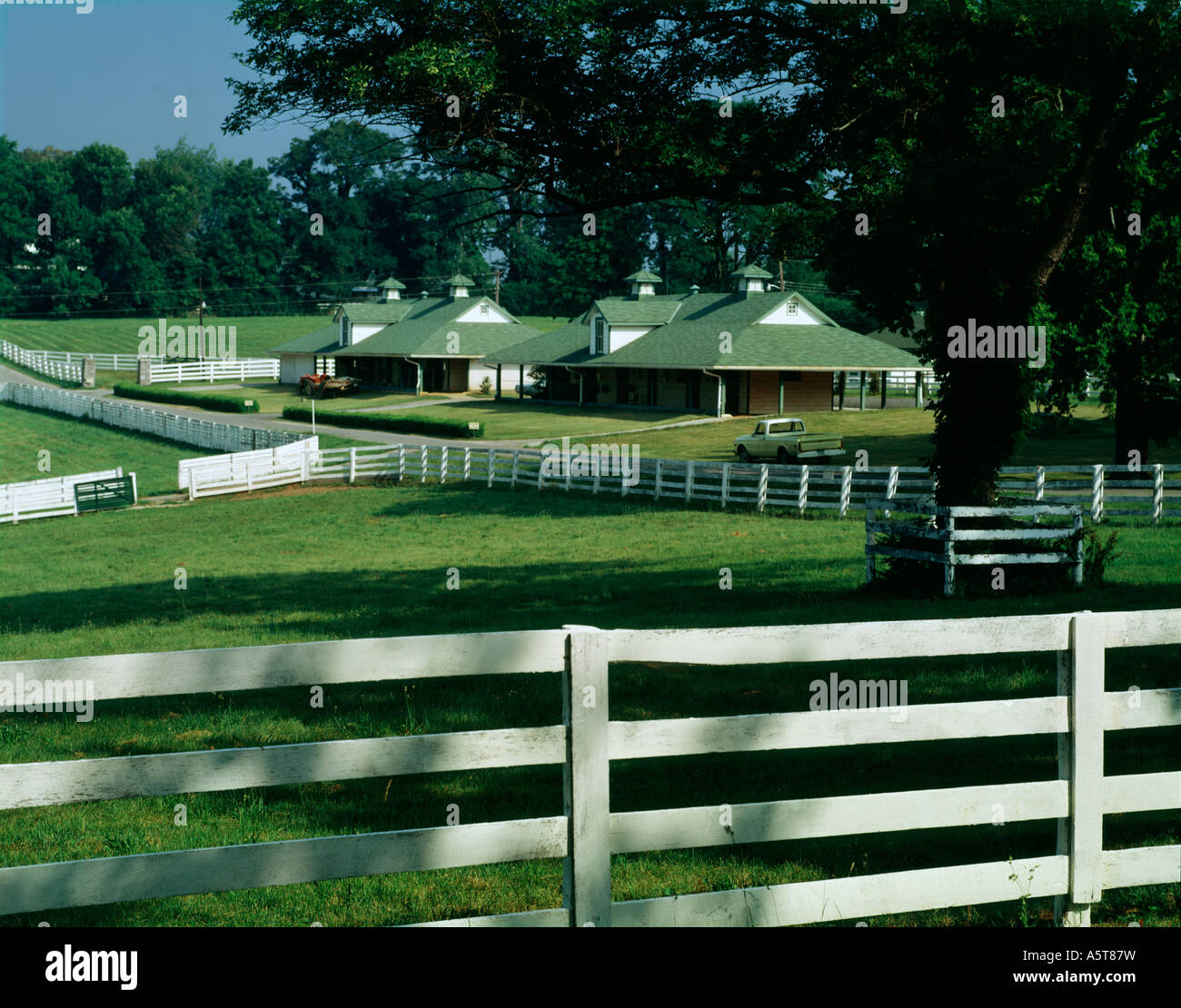 Darby dan farm hires stock photography and images Alamy