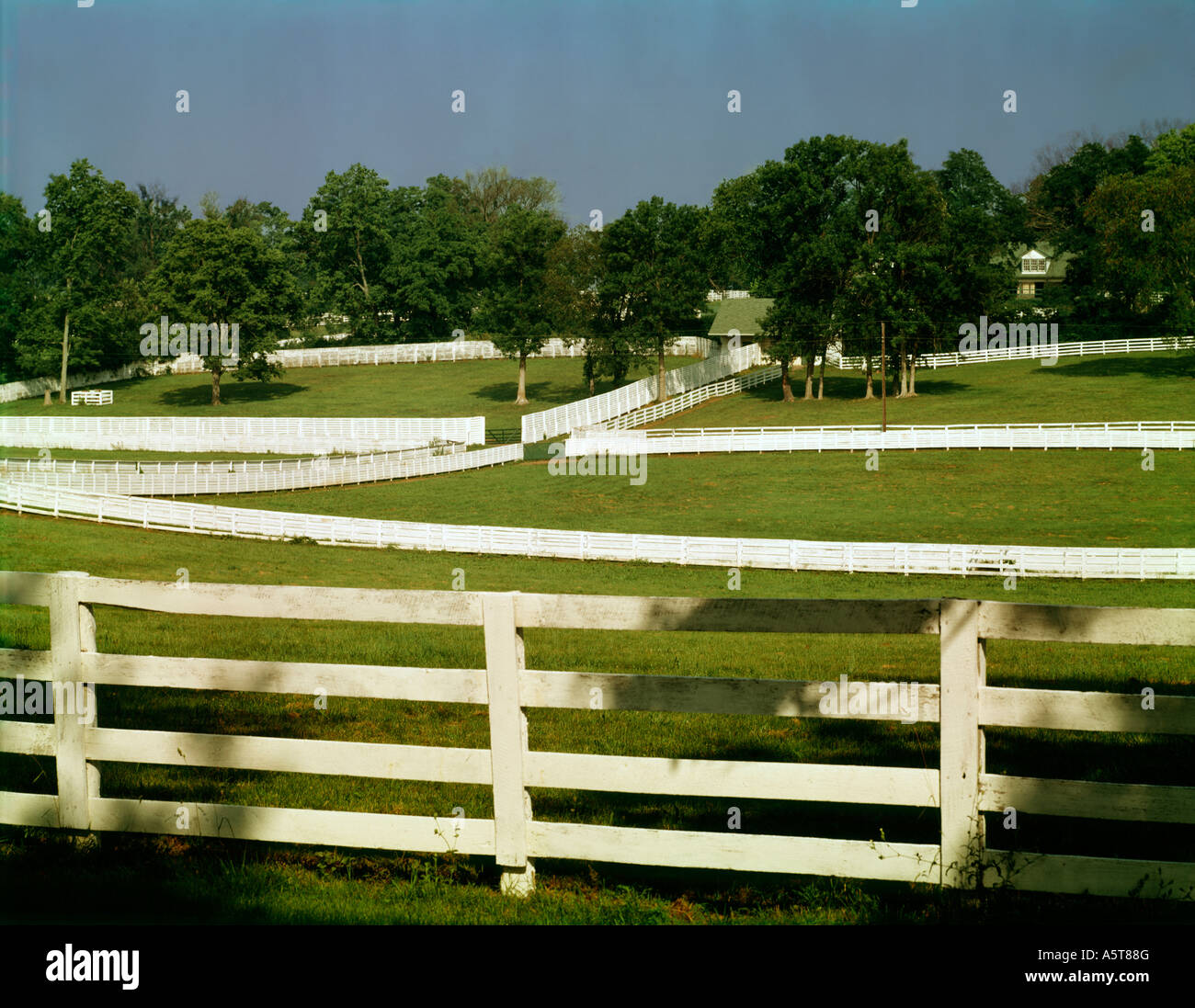Darby dan farm hires stock photography and images Alamy