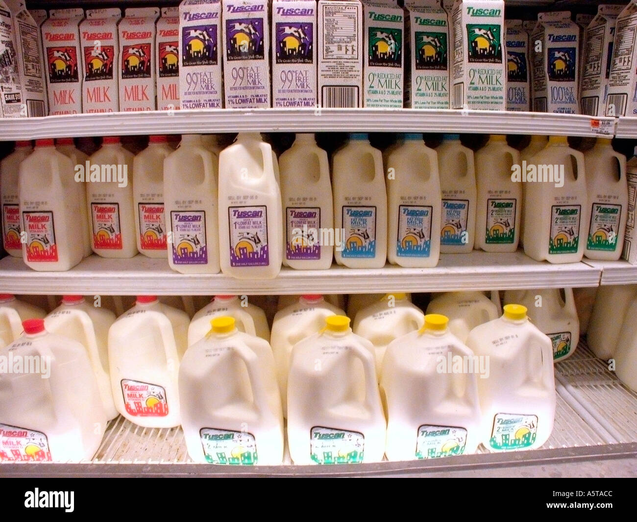 A display of containers of milk at a supermarket Stock Photo Alamy