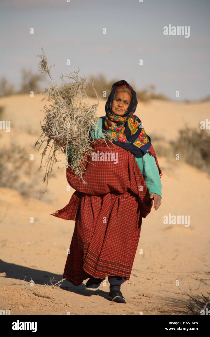 Vertical portrait of elderly berber woman collecting firewood in Sahara desert, Tunisia, North Africa Stock Photo