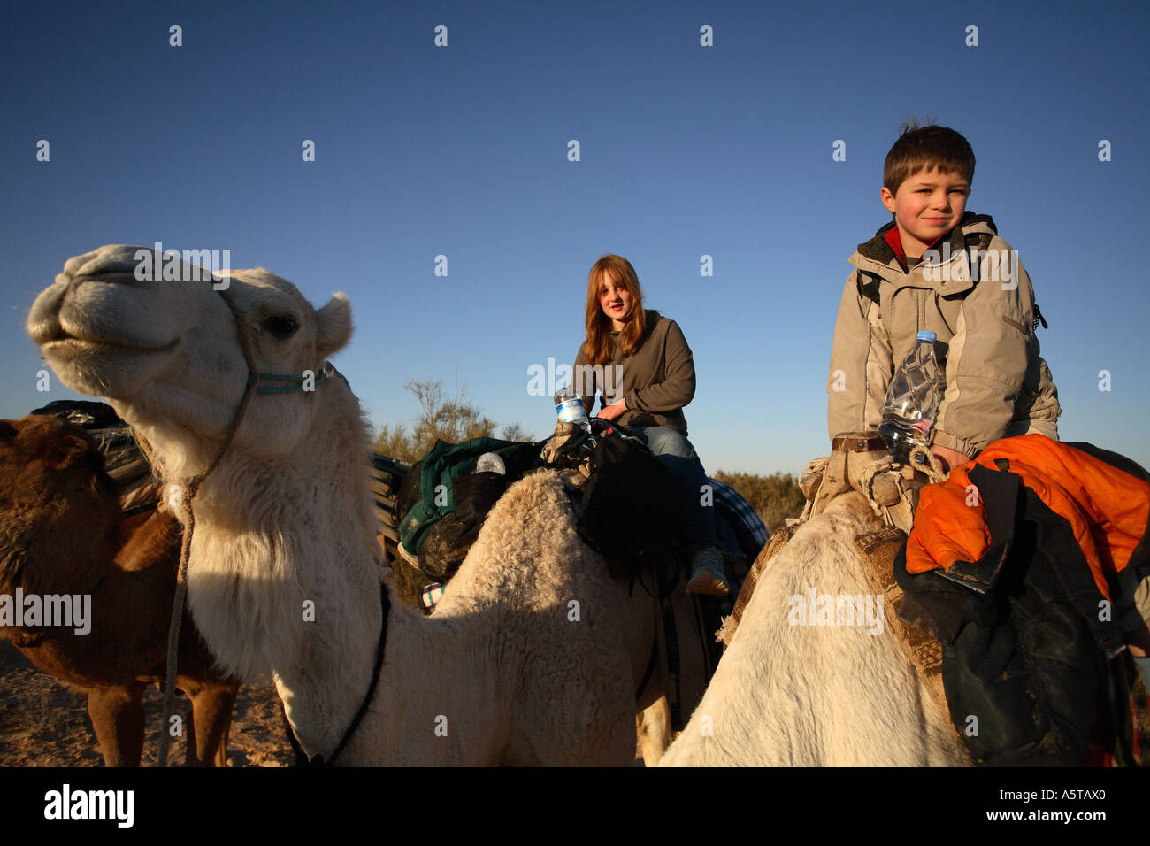 Horizontal portrait of children riding camels on family adventure ...