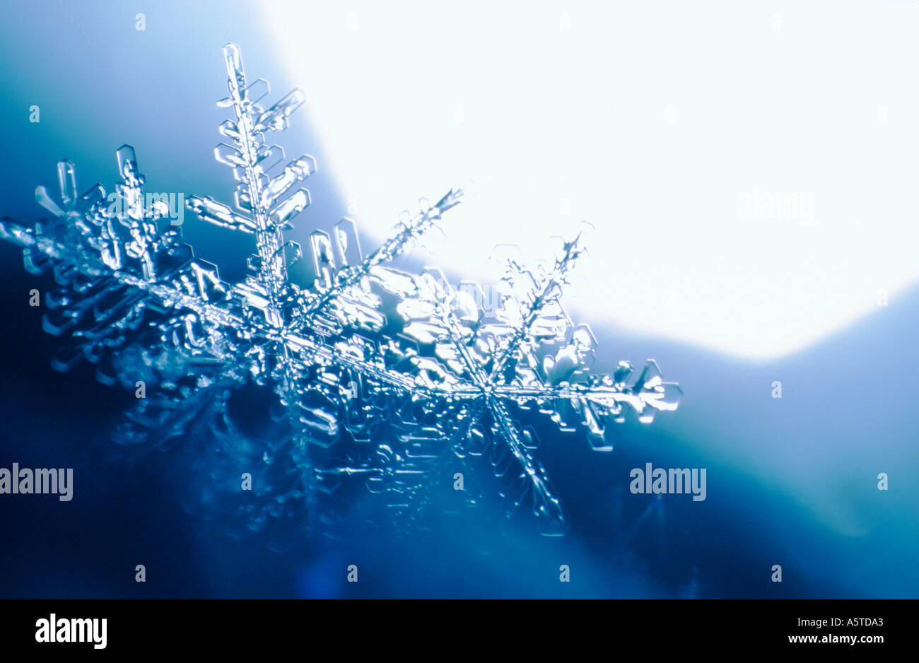 Snow Flakes Stock Photo Alamy snow-flakes-stock-photo-alamy