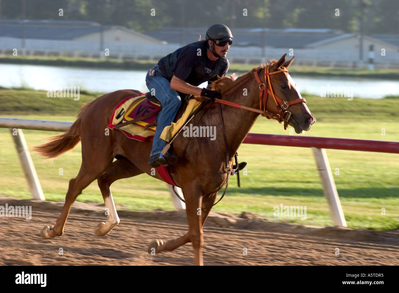 A horse and rider are seen during a training session at Evangeline